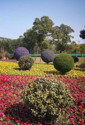 花海景观工程设计施工